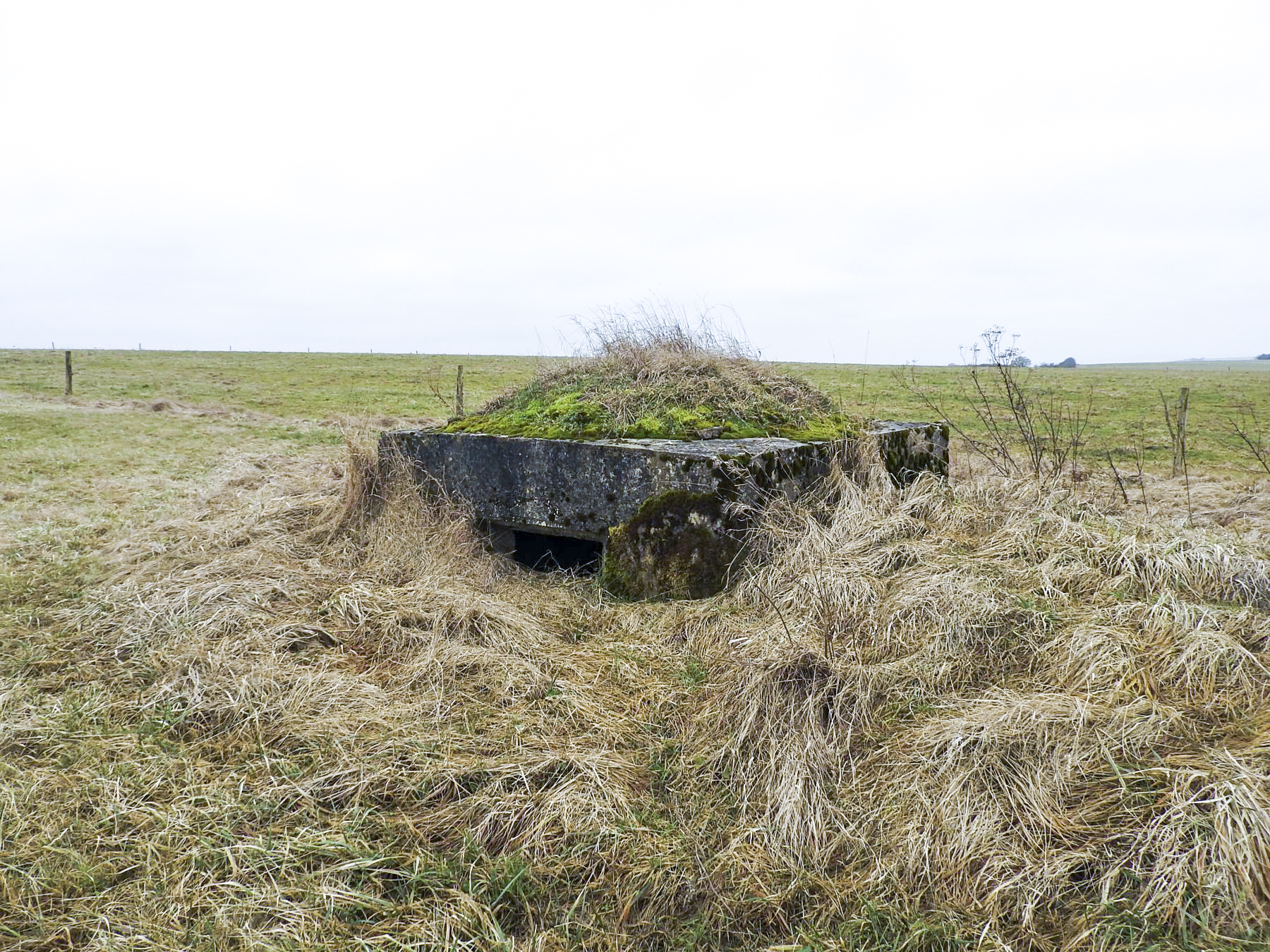 Ligne Maginot - SALWALD 3 - (Blockhaus pour arme infanterie) - 