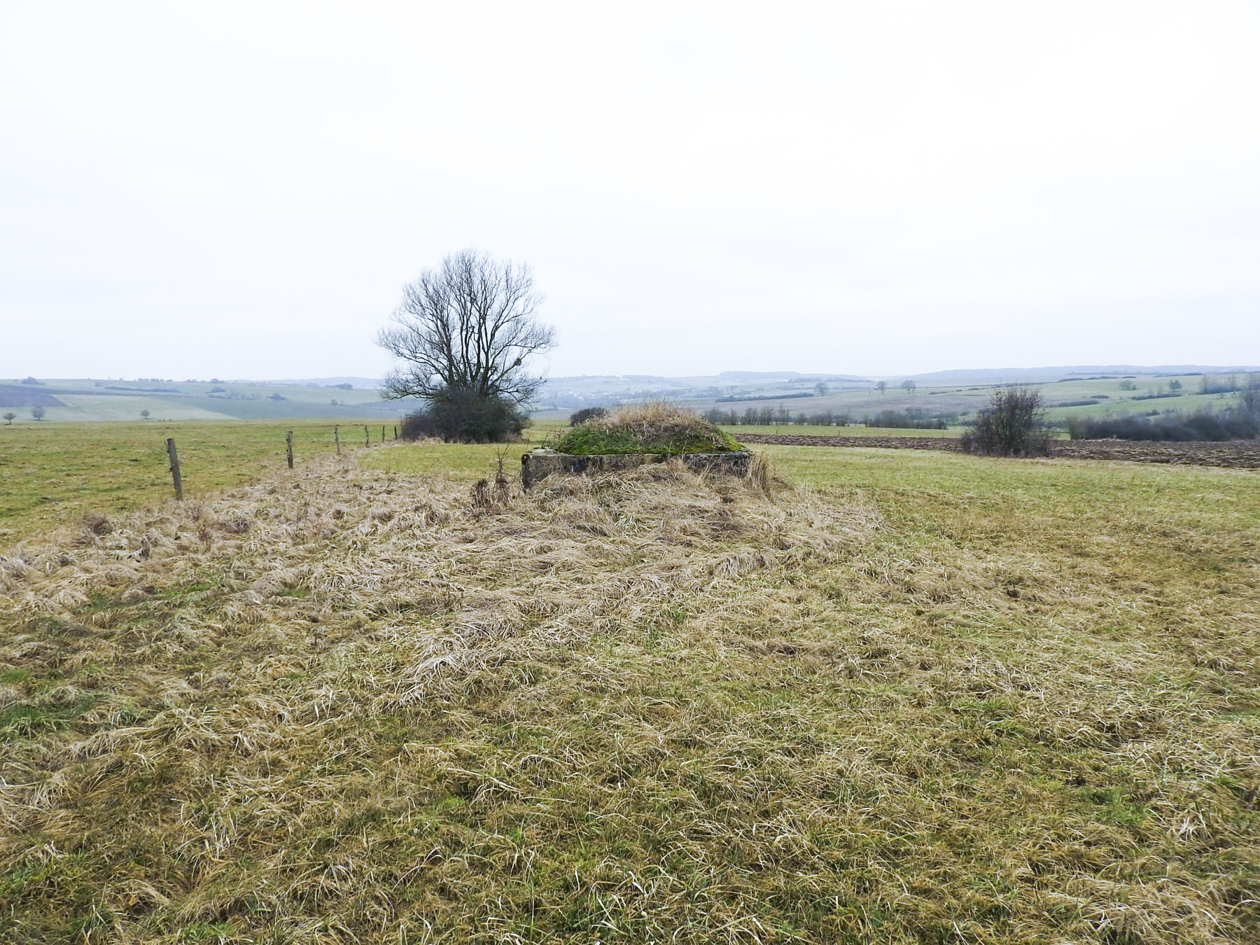 Ligne Maginot - SALWALD 3 - (Blockhaus pour arme infanterie) - Le blockhaus dans son environnement
Le Salwald 2 se trouve dans les arbustes à gauche.