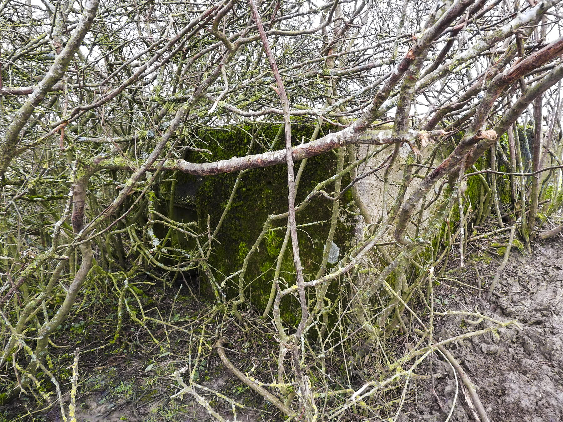 Ligne Maginot - SALWALD 1 - (Blockhaus pour arme infanterie) - L'entrée du blockhaus.