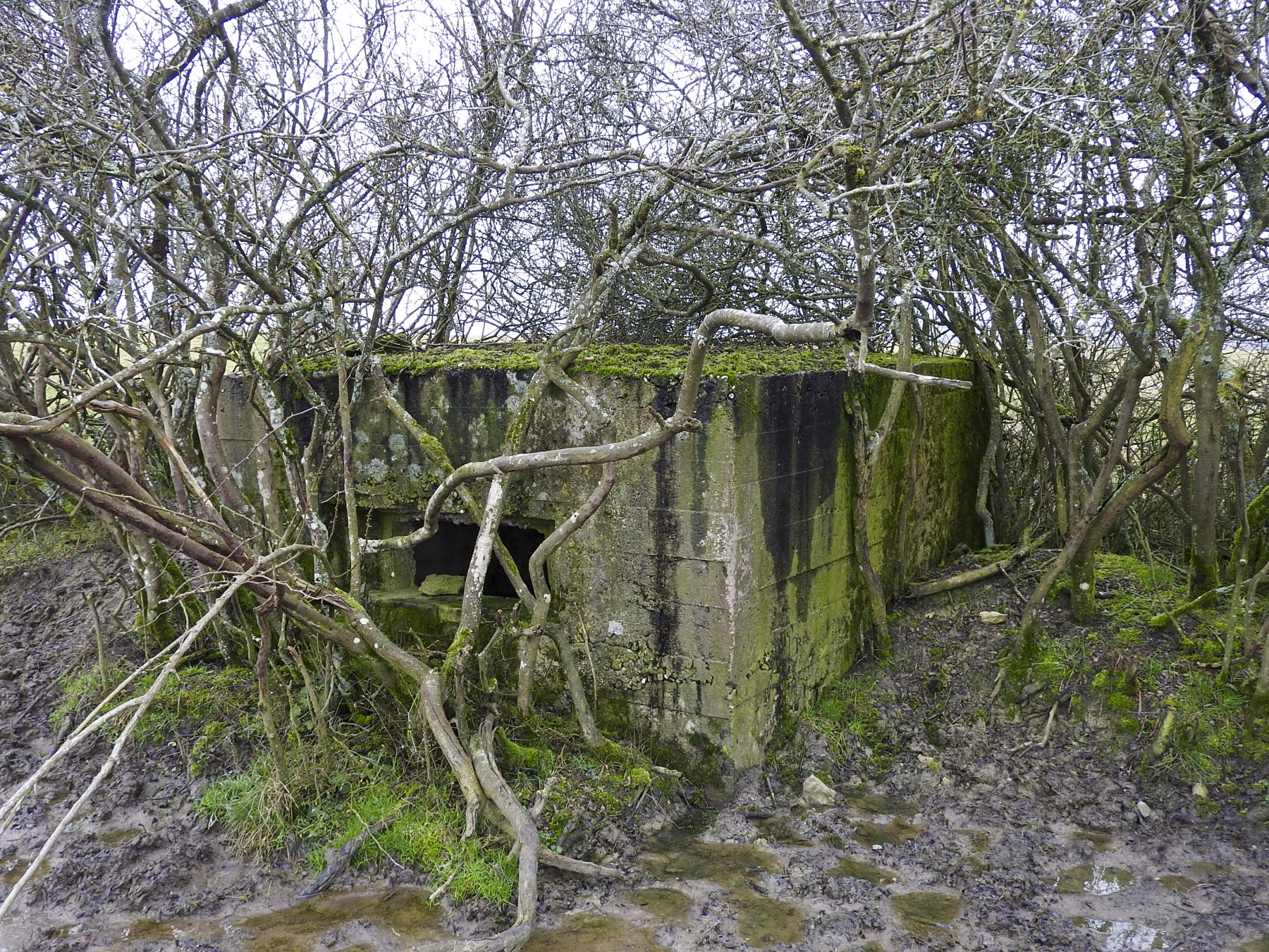 Ligne Maginot - SALWALD 1 - (Blockhaus pour arme infanterie) - La façade de tir.