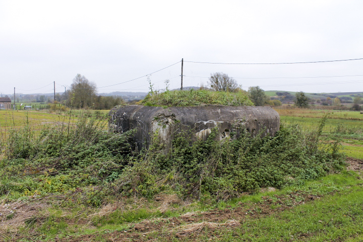 Ligne Maginot - TIERGARTEN 6 - (Blockhaus pour arme infanterie) - Façade arrière - Christian LENHARD