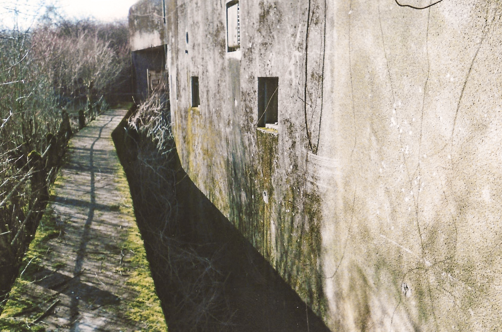 Ligne Maginot - HETTANGE GRANDE - X8 (QUARTIER ROUSSY - III/168°RIF) - (Abri) - Vue de la façade de l'abri et du fossé diamant - THIL Anthony