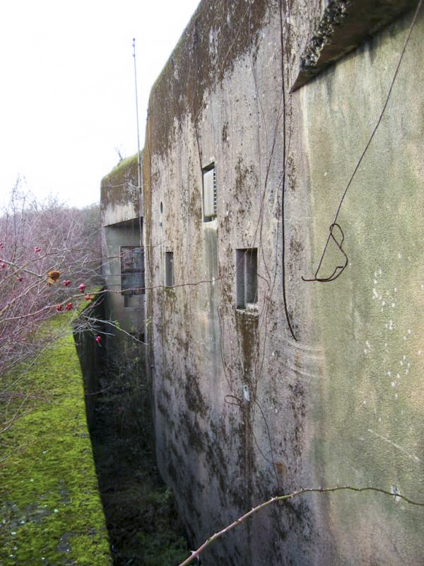 Ligne Maginot - HETTANGE GRANDE - X8 (QUARTIER ROUSSY - III/168°RIF) - (Abri) - Vue de la façade arrière de l'abri et du fossé diamant