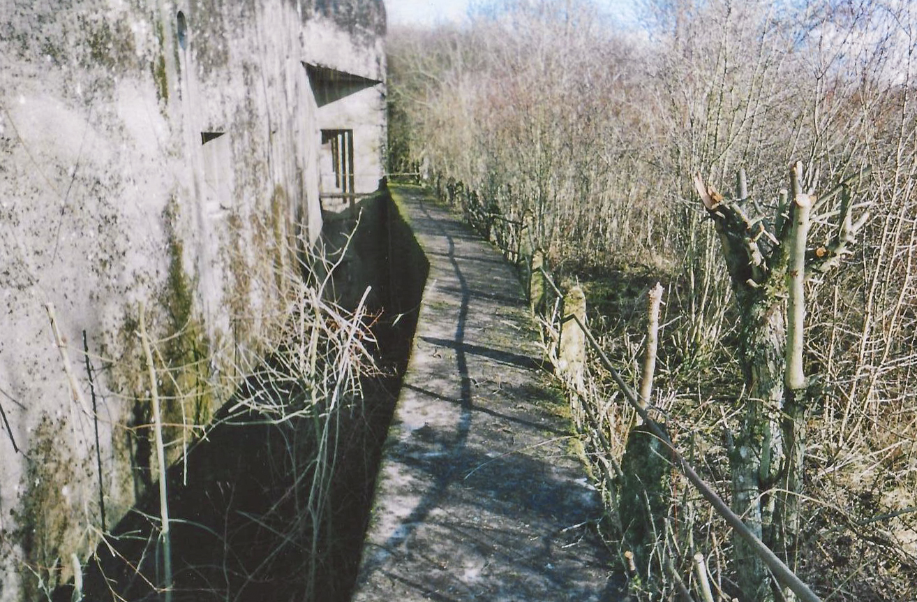 Ligne Maginot - HETTANGE GRANDE - X8 (QUARTIER ROUSSY - III/168°RIF) - (Abri) - Vue de la façade de l'abri et du fossé diamant