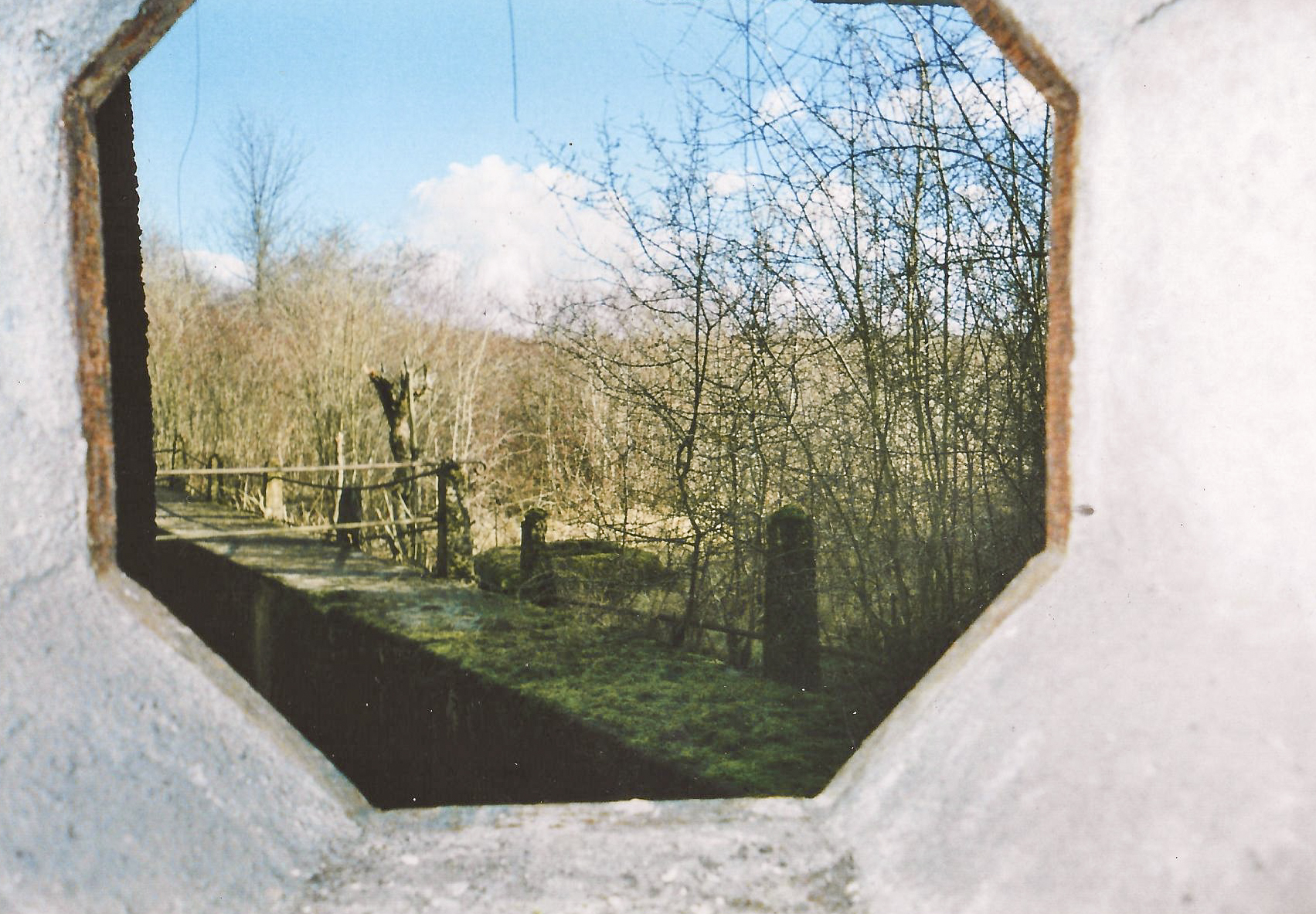 Ligne Maginot - HETTANGE GRANDE - X8 (QUARTIER ROUSSY - III/168°RIF) - (Abri) - Vue depuis le créneau
