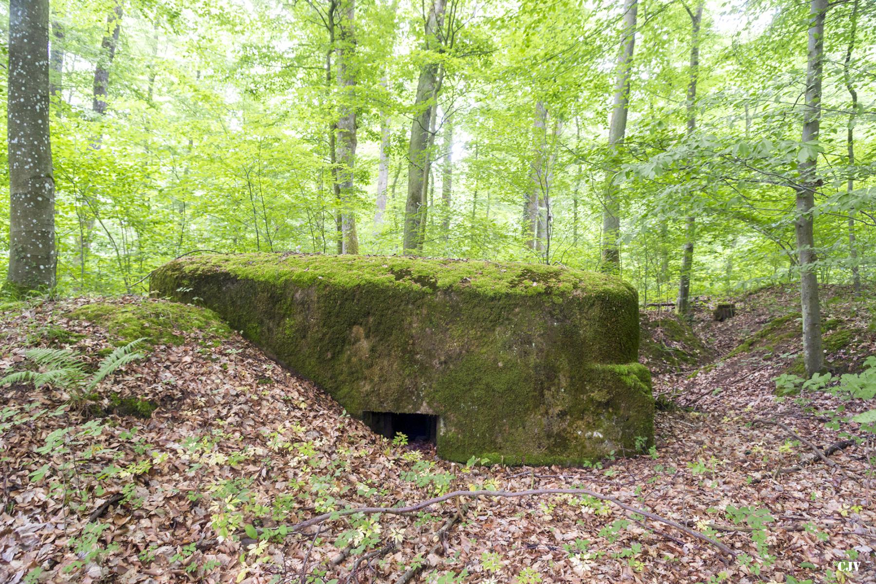 Ligne Maginot - BUCHENHUEGEL 1 - (Blockhaus pour arme infanterie) - 
