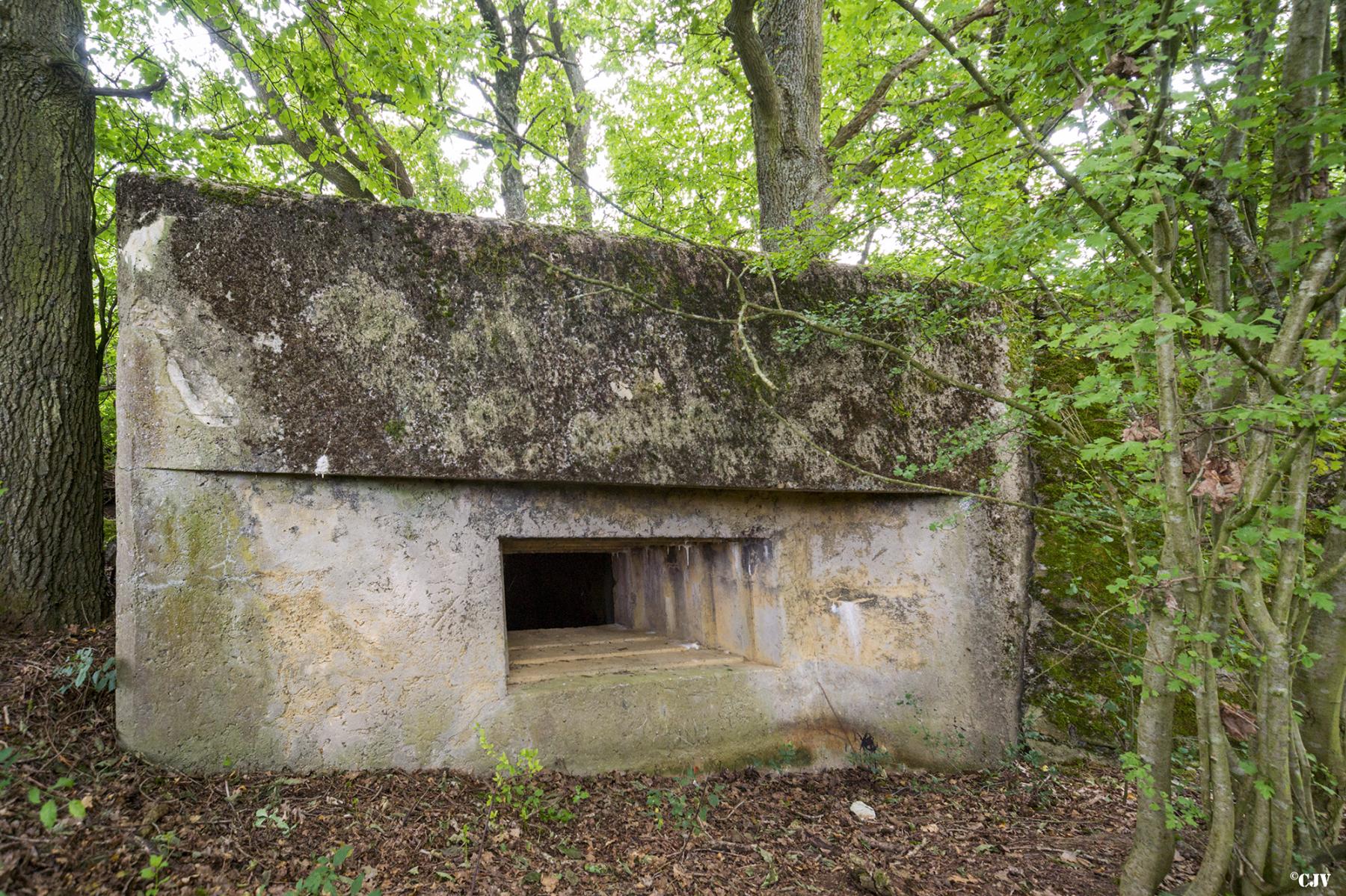 Ligne Maginot - C9 - DIGUE DE RICHELING 4 - (Blockhaus pour canon) -  - Lia VERMEULEN