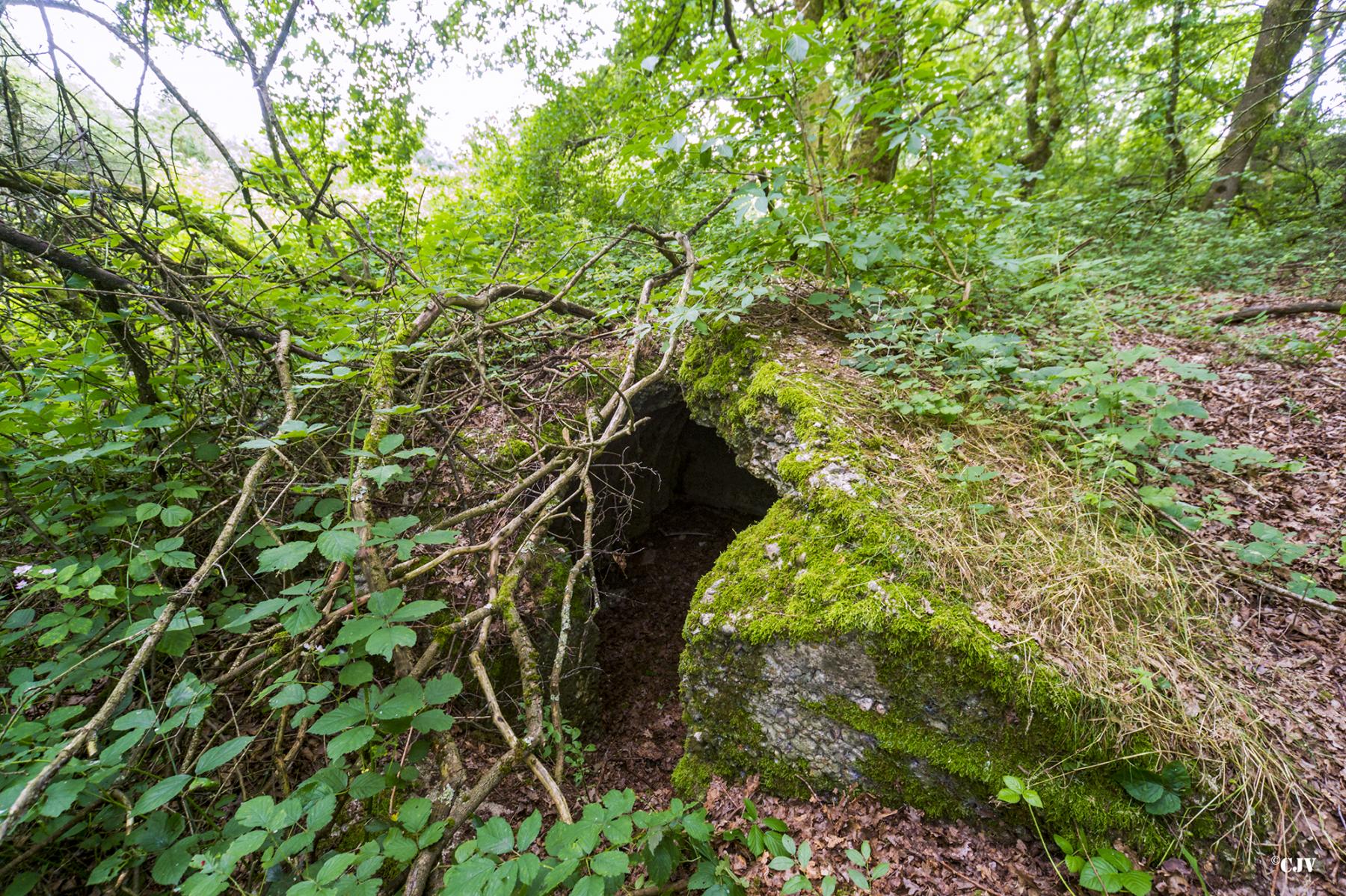 Ligne Maginot - DIGUE DE RICHELING 4BIS - (Abri) - 