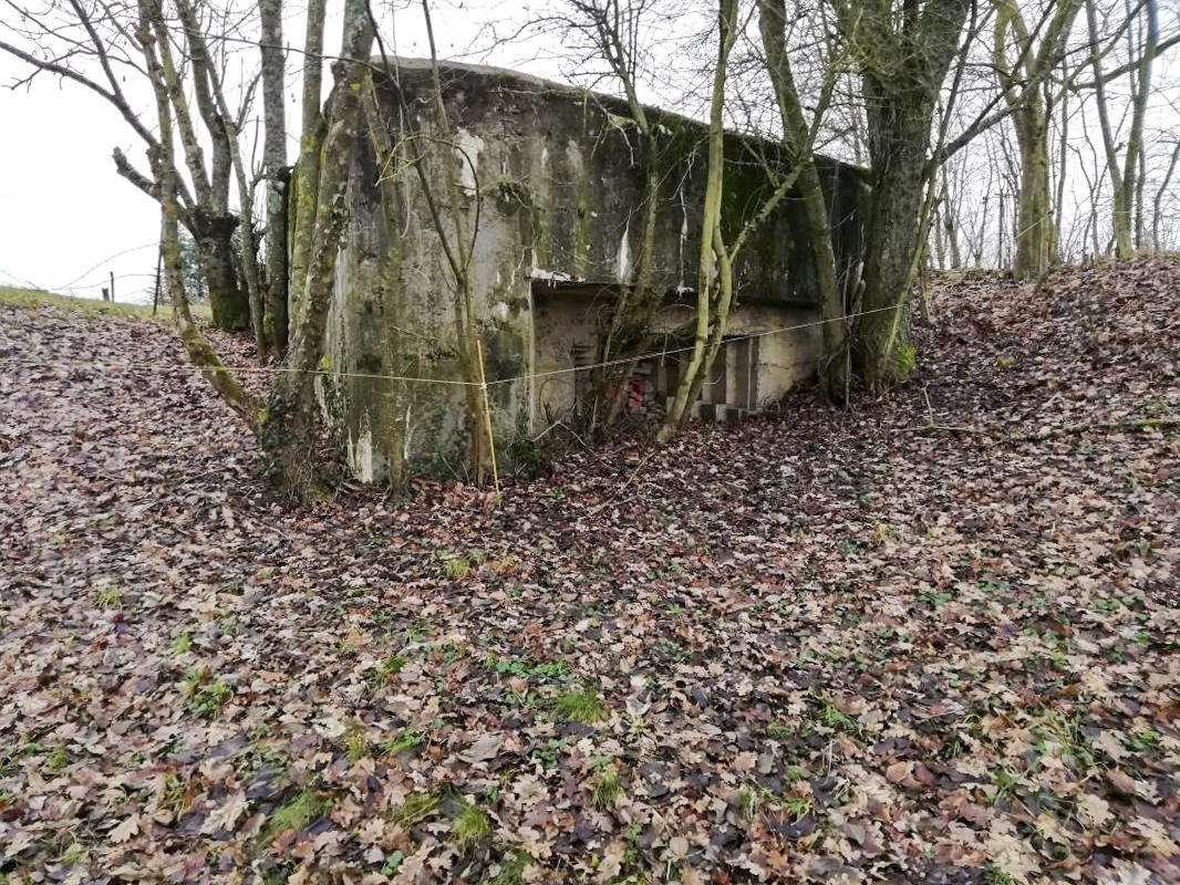 Ligne Maginot - DIGUE DE REMERING 5 - (Blockhaus pour canon) -  - Jin Jac