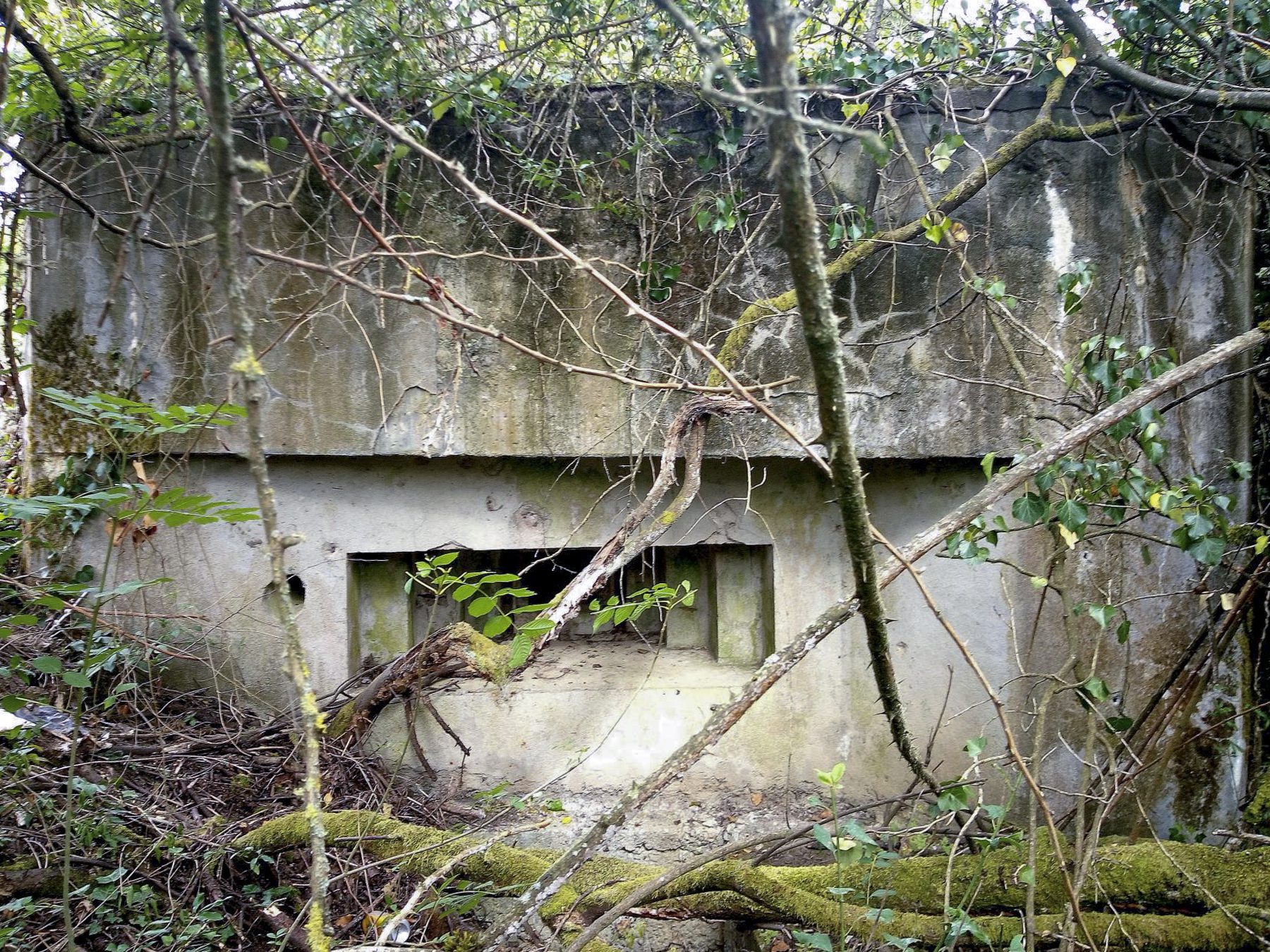 Ligne Maginot - DIGUE DE REMERING 6 - (Blockhaus pour canon) -  - Sylvie Laure LAMBERT