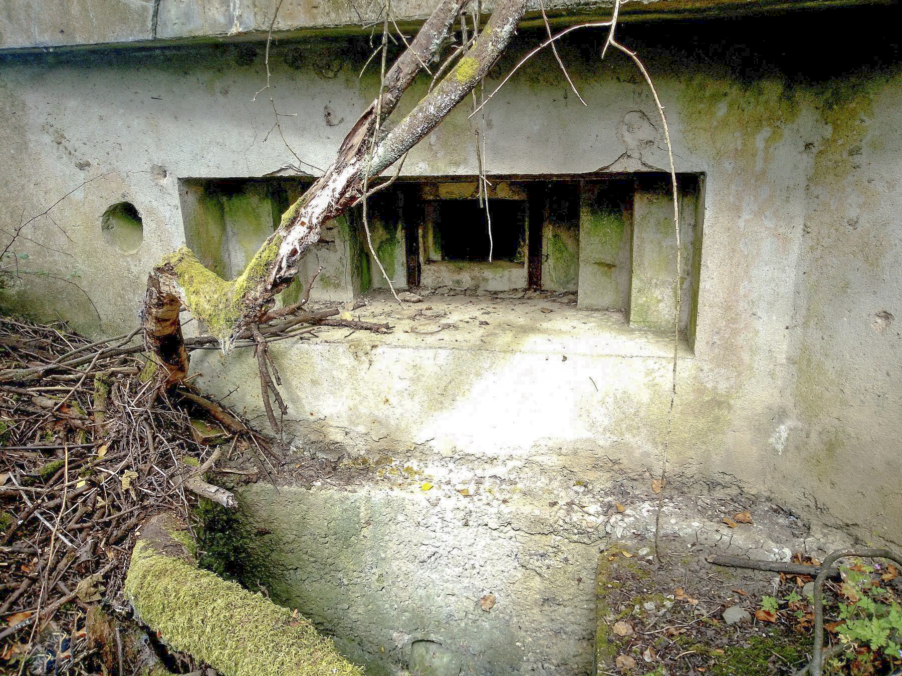 Ligne Maginot - DIGUE DE REMERING 6 - (Blockhaus pour canon) -  - Sylvie Laure LAMBERT