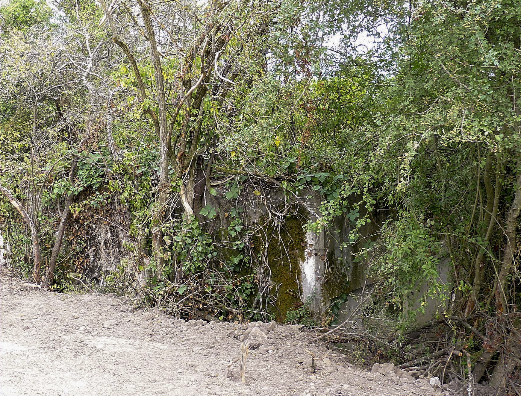 Ligne Maginot - DIGUE DE REMERING 6 - (Blockhaus pour canon) -  - Sylvie Laure LAMBERT