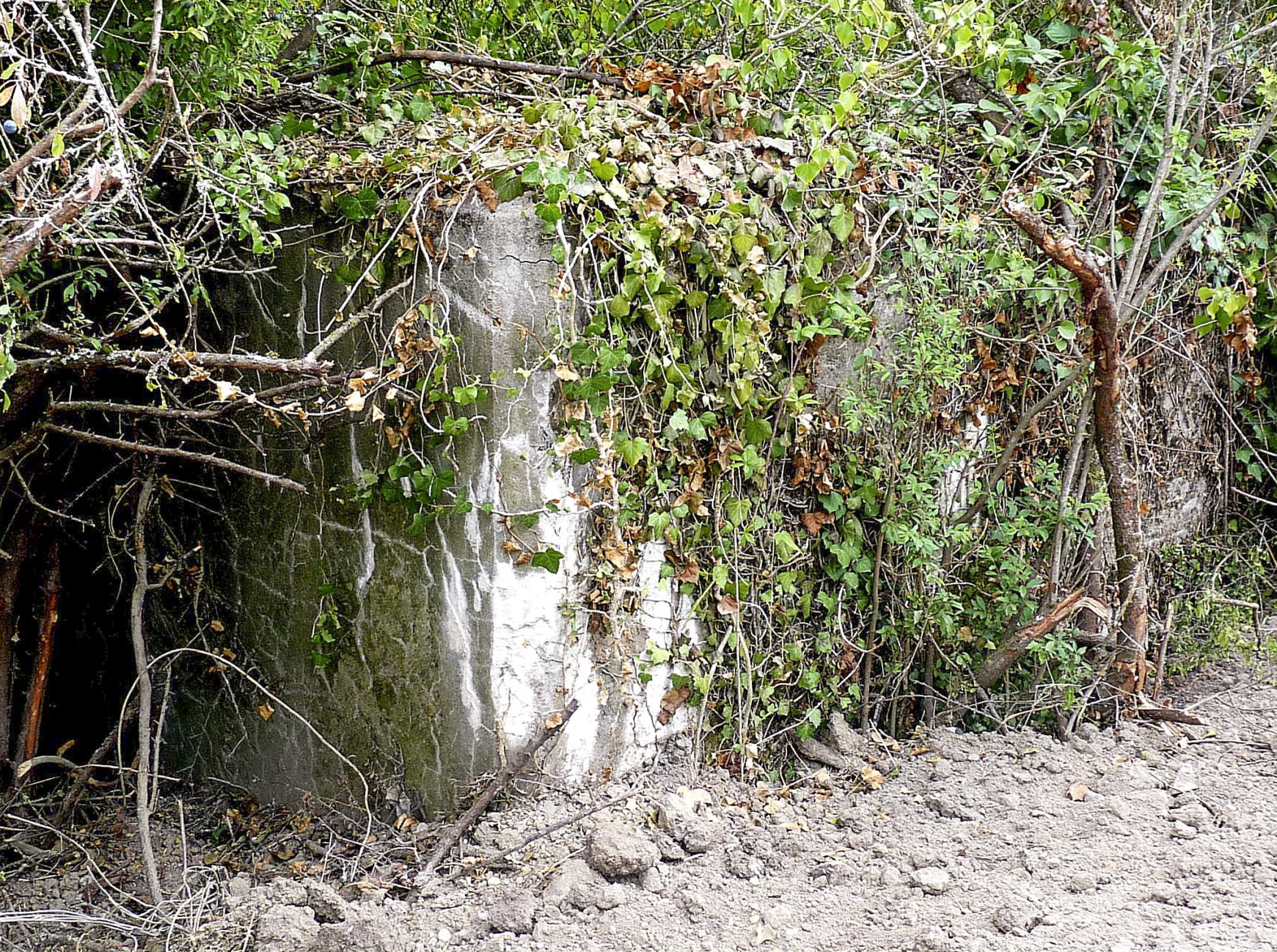 Ligne Maginot - DIGUE DE REMERING 6 - (Blockhaus pour canon) -  - Sylvie Laure LAMBERT