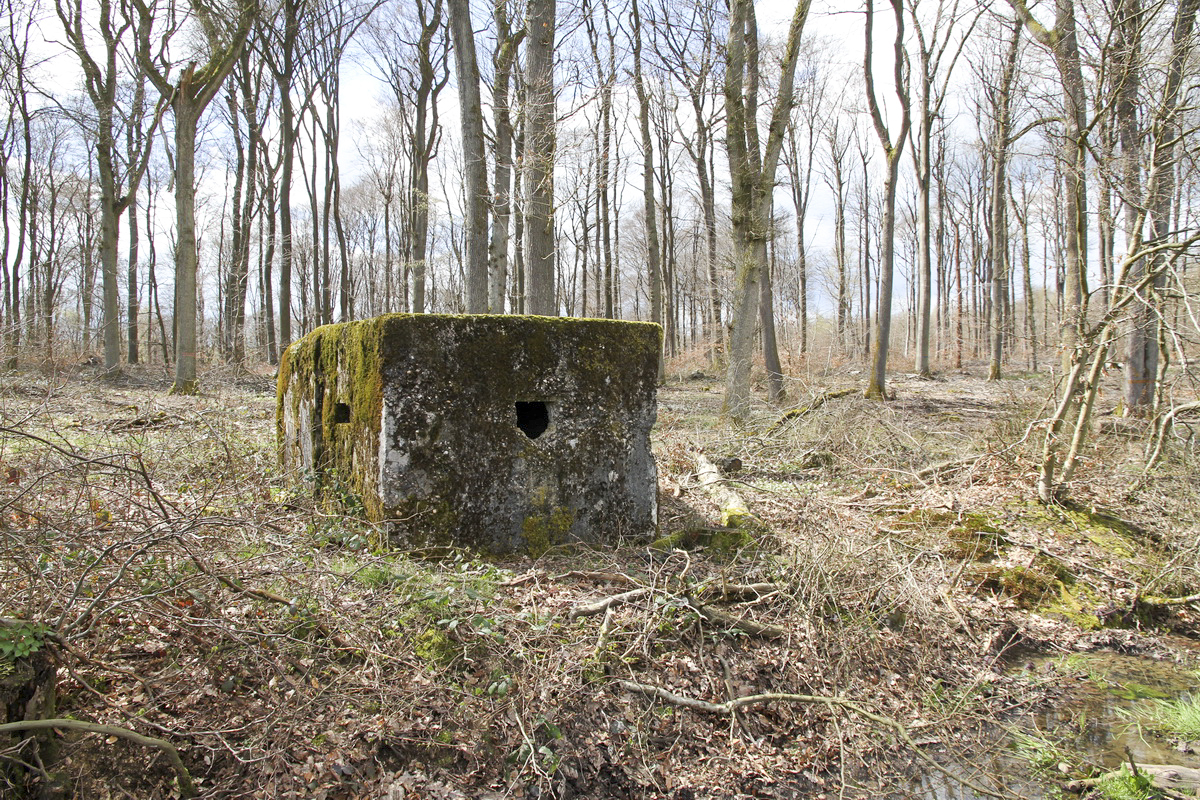 Ligne Maginot - F2B - GRUNDVILLER 5 - (Blockhaus pour arme infanterie) -  - Alain Perouffe