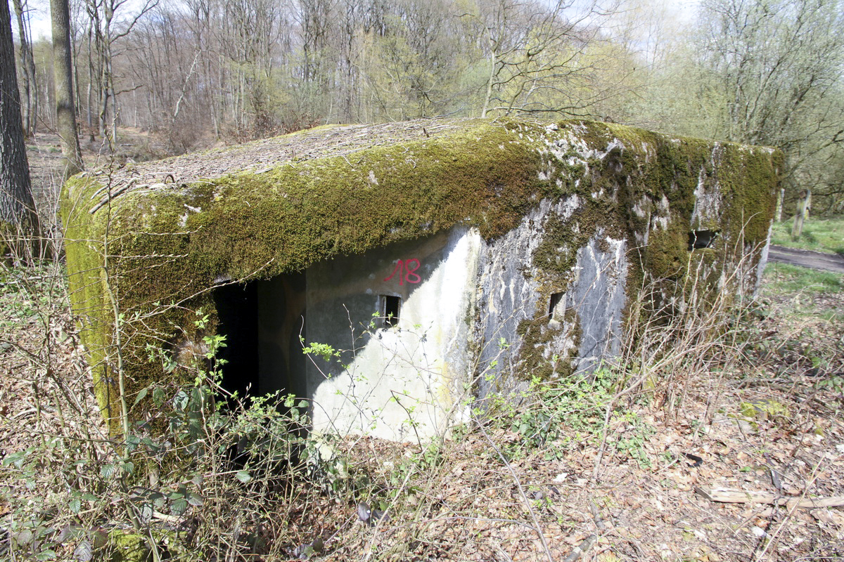 Ligne Maginot - F2B - GRUNDVILLER 5 - (Blockhaus pour arme infanterie) -  - Alain Perouffe