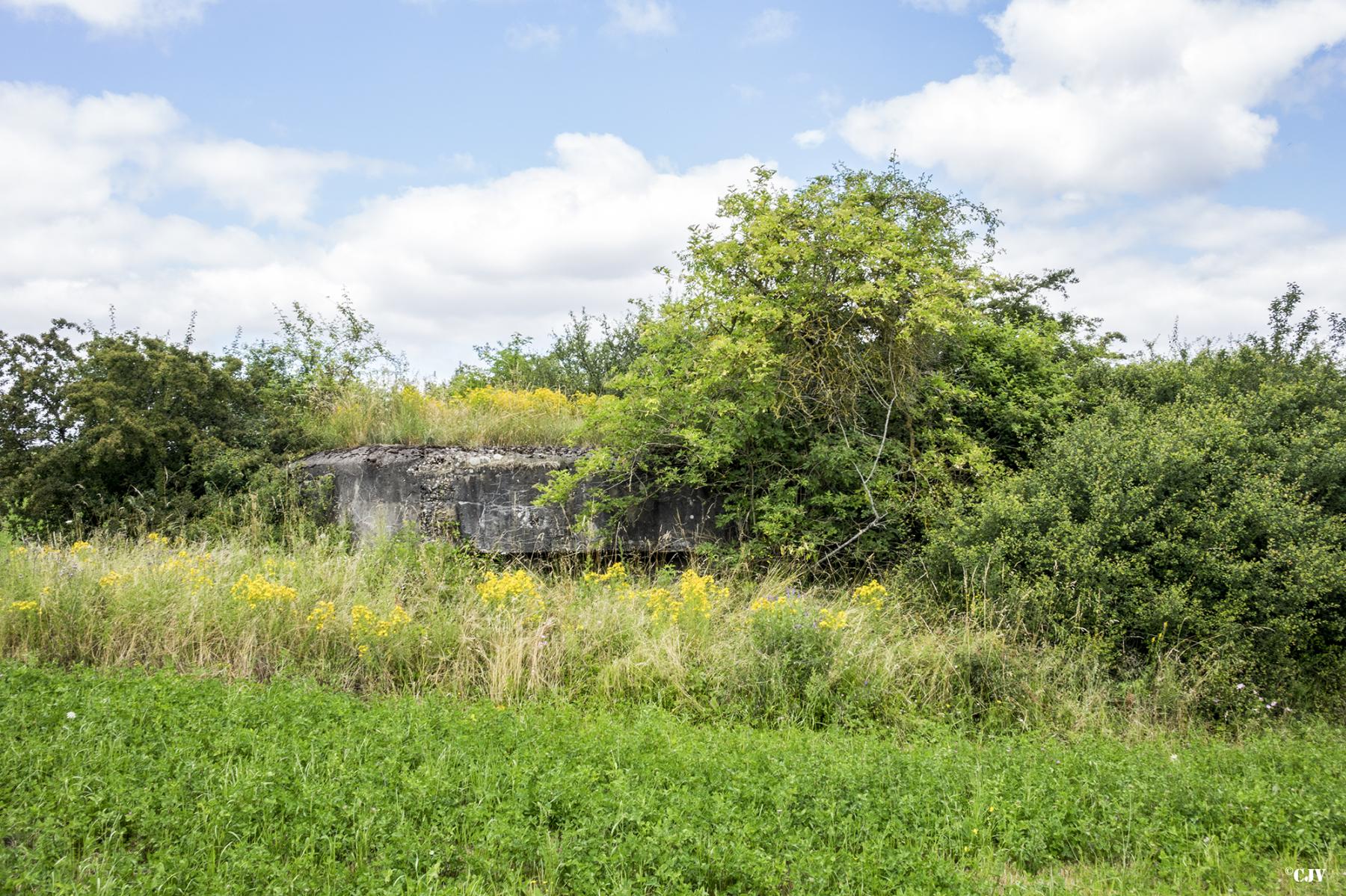 Ligne Maginot - HOFERBRÜCKE 5 - (Blockhaus de type indeterminé) - 