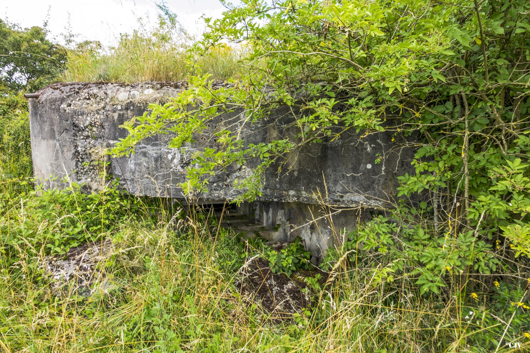 Ligne Maginot - HOFERBRÜCKE 5 - (Blockhaus de type indeterminé) - 