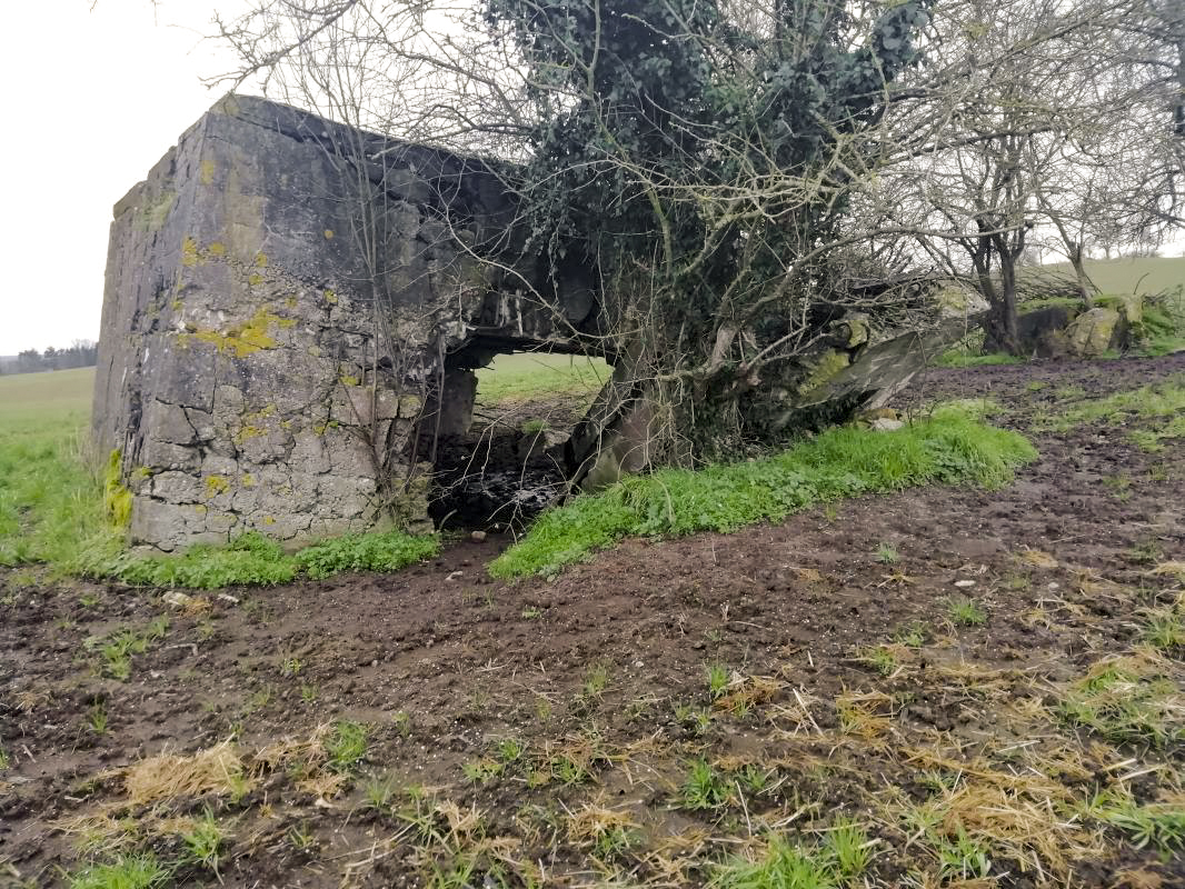 Ligne Maginot - M4B - HERRENWEG 5 - (Blockhaus de type indeterminé) - Ruines du bloc