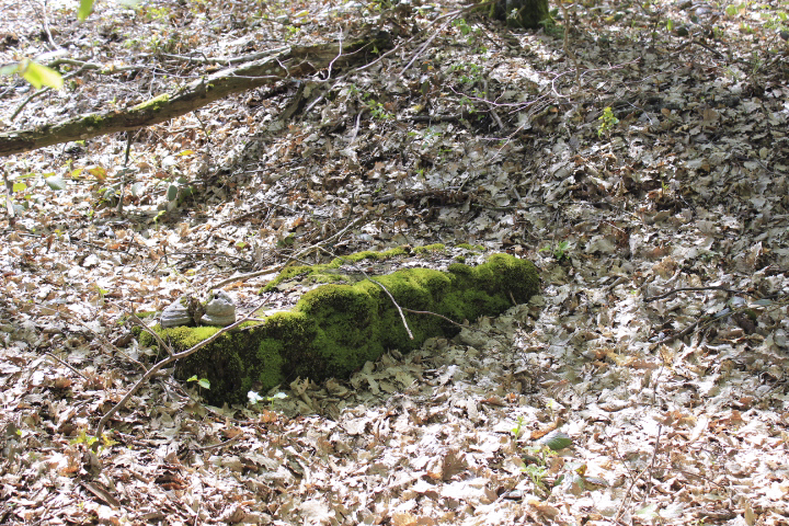 Ligne Maginot - M8B - GRUNDVILLER 4 (Blockhaus pour arme infanterie) - Derniers vestiges????