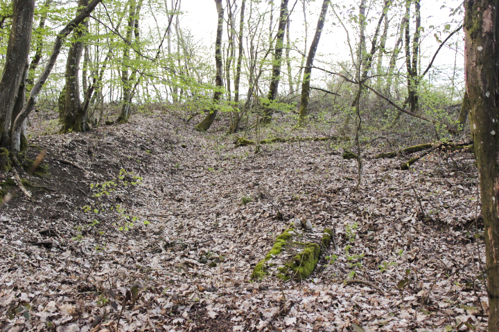 Ligne Maginot - M8B - GRUNDVILLER 4 (Blockhaus pour arme infanterie) - Derniers vestiges????