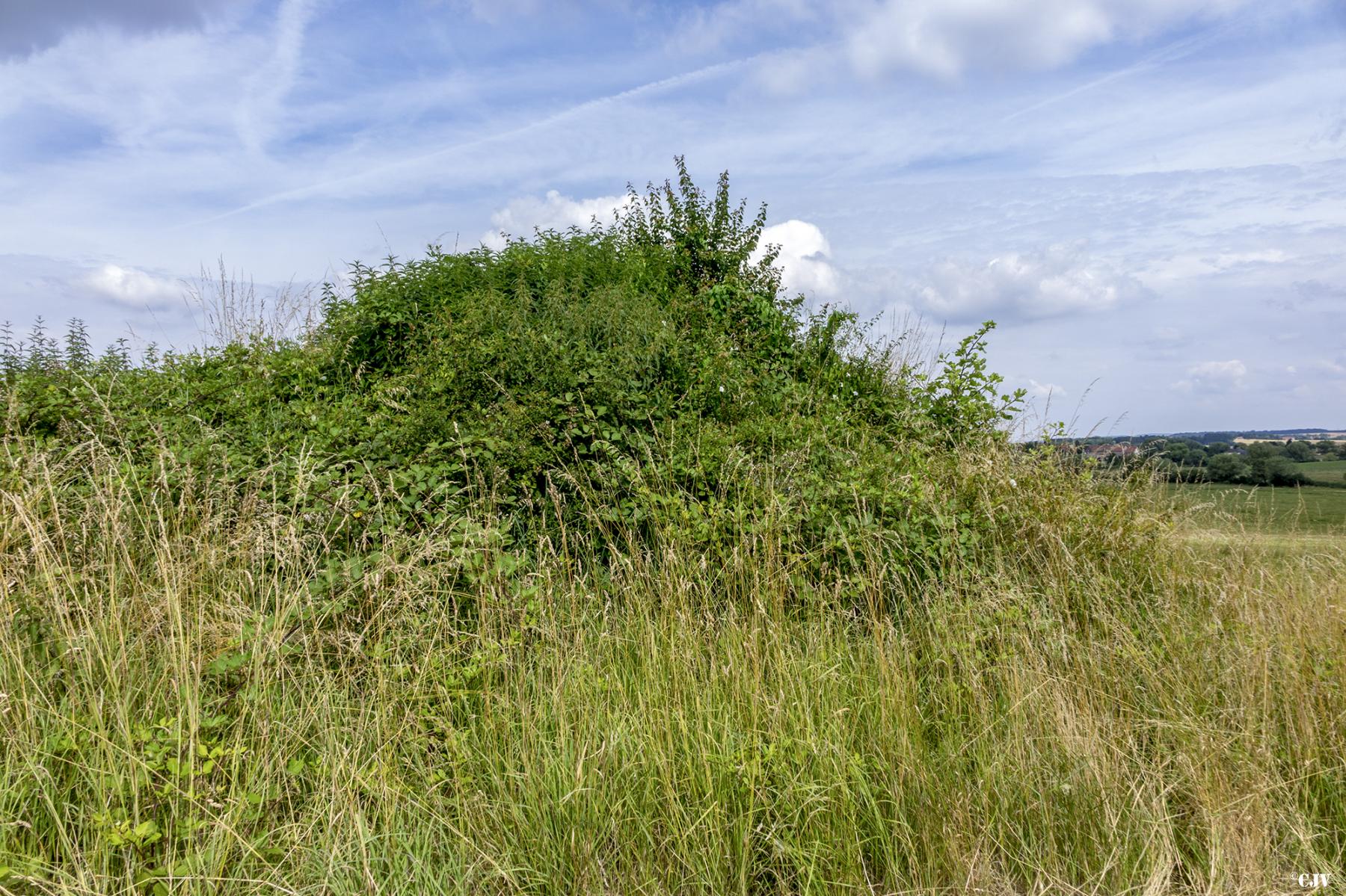 Ligne Maginot - M8 - (Blockhaus de type indeterminé) - 
