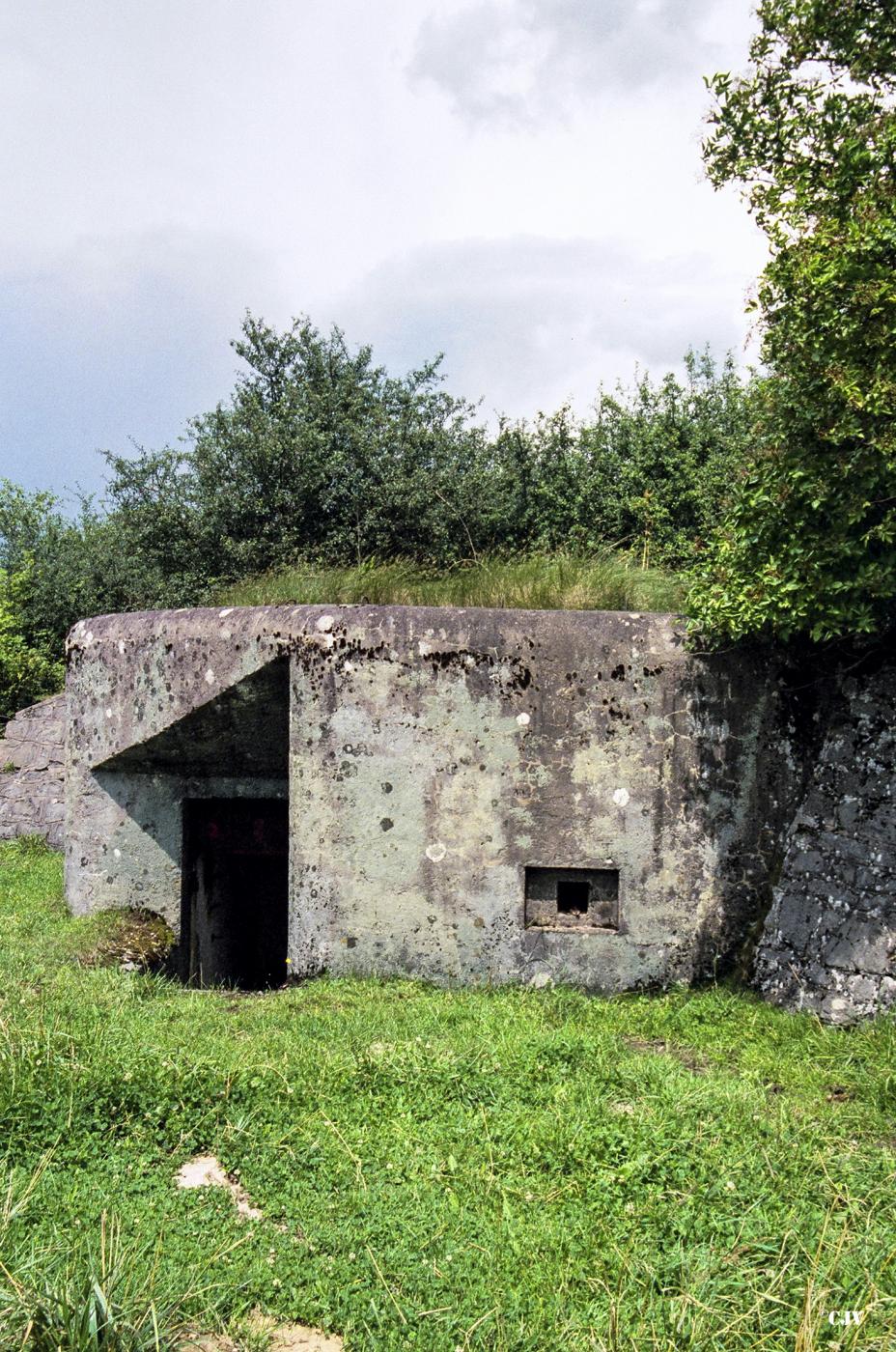 Ligne Maginot - M21 - HOLVING SUD 4 - (Blockhaus pour arme infanterie) - 