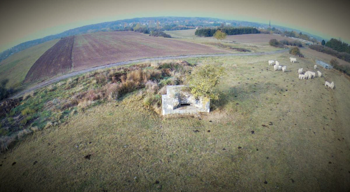 Ligne Maginot - M28 - HOLVING SUD 2 - (Blockhaus pour arme infanterie) - 