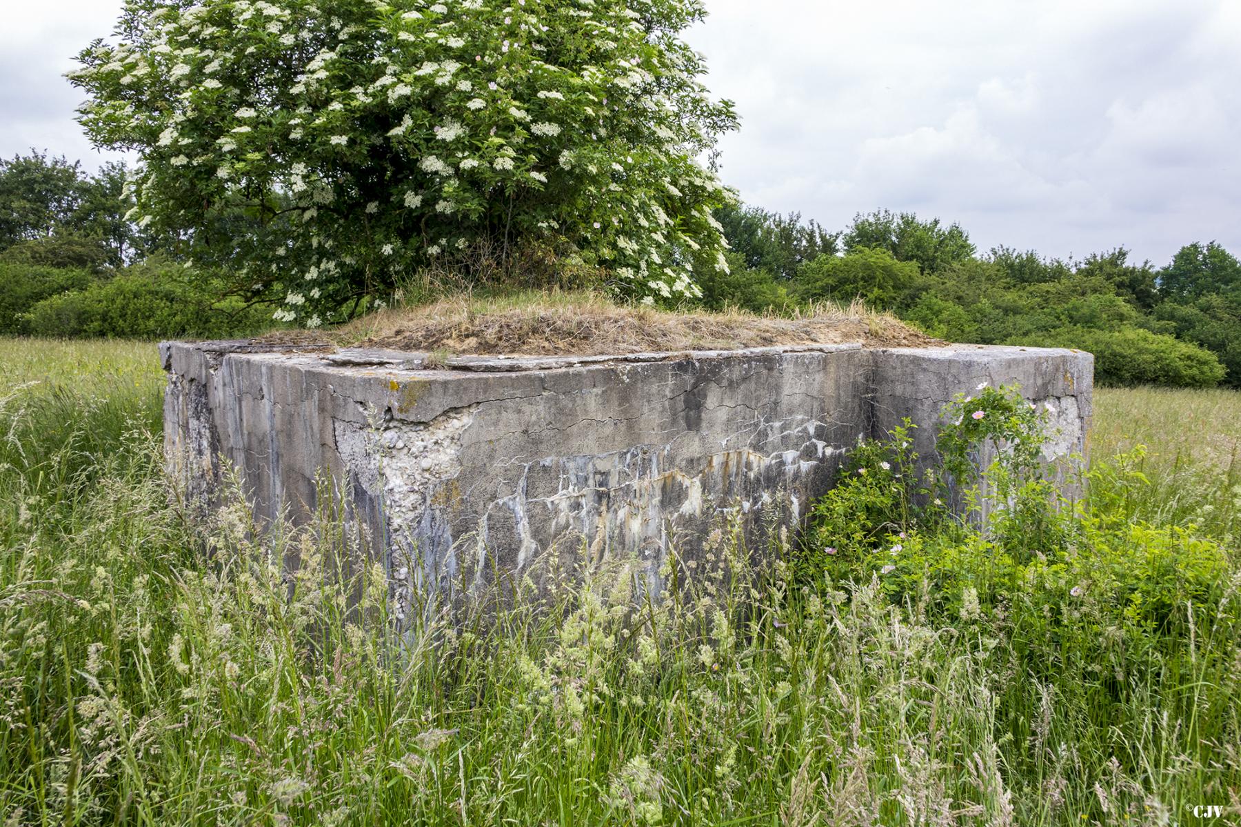 Ligne Maginot - M28 - HOLVING SUD 2 - (Blockhaus pour arme infanterie) - 