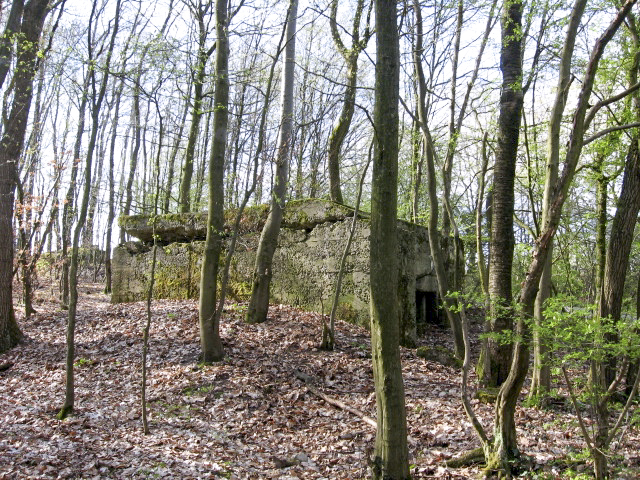 Ligne Maginot - Vue générale - 