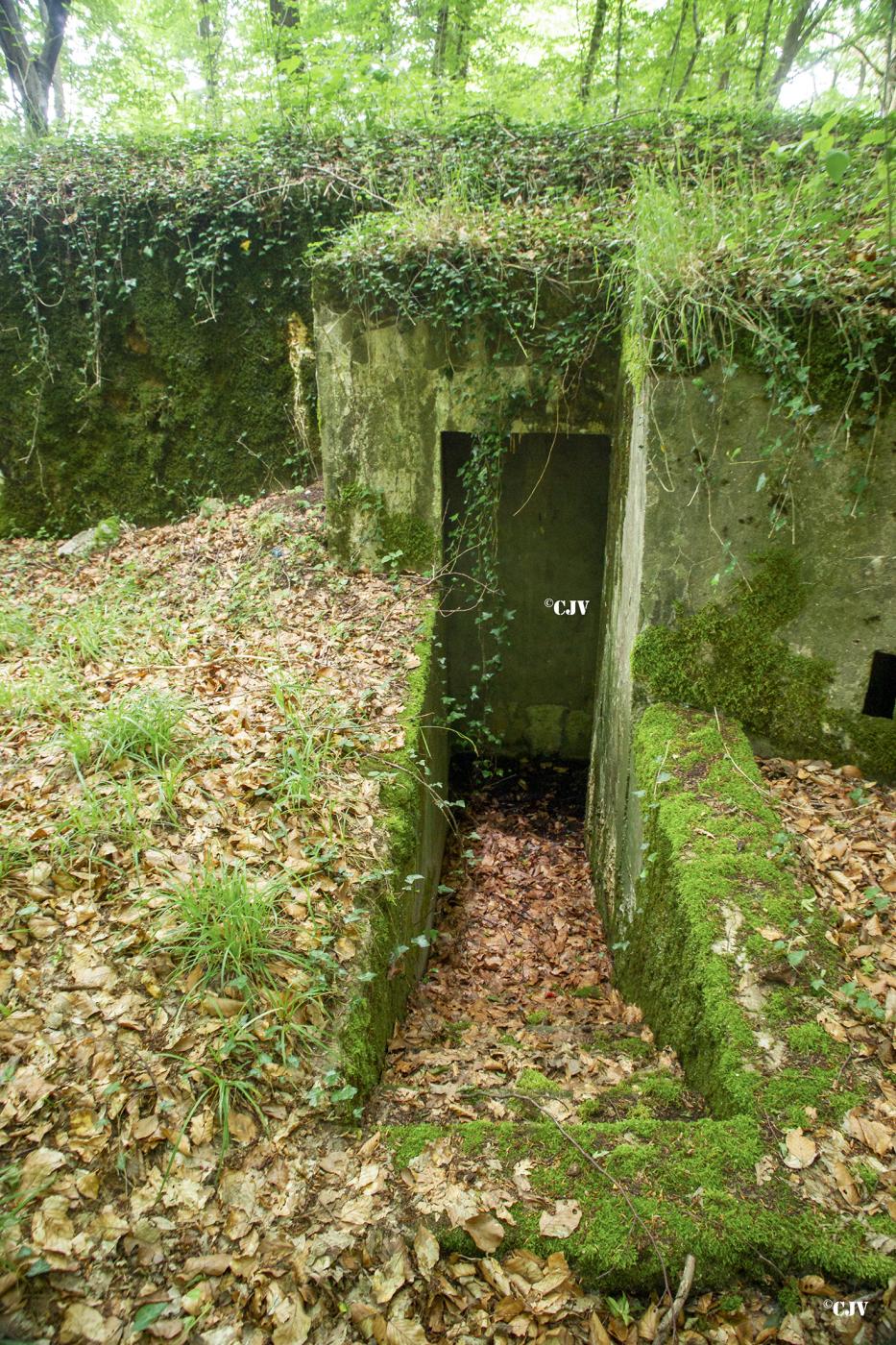 Ligne Maginot - M128 - MITTENWALD 3 - (Blockhaus pour arme infanterie) -  - Lia VERMEULEN