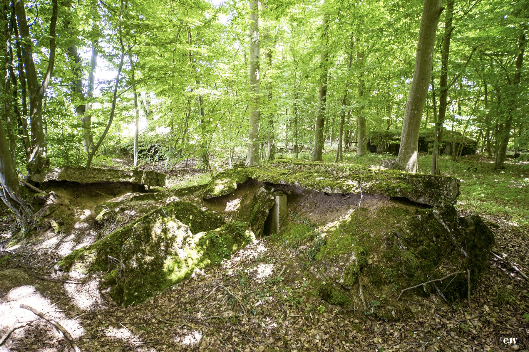 Ligne Maginot - MITTENWALD 1 - (Blockhaus de type indéterminé) -  - Lia VERMEULEN