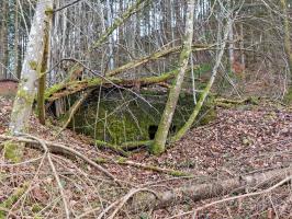 Ligne Maginot - NEUWEIHER 2 - (Blockhaus pour canon) - 