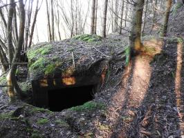 Ligne Maginot - FROHMUEHL NORD - (Blockhaus pour canon) - L'entrée du blockhaus.