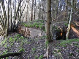 Ligne Maginot - FROHMUEHL NORD - (Blockhaus pour canon) - La façade de tir remblayée.