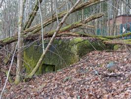 Ligne Maginot - NEUWEIHER 2 - (Blockhaus pour arme infanterie) - Créneau mitrailleuse