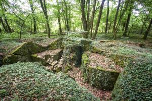 Ligne Maginot - MEISTERBUSCH 5 - (Cuve pour arme d'infanterie) - 