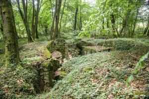 Ligne Maginot - MEISTERBUSCH 5 - (Cuve pour arme d'infanterie) - 