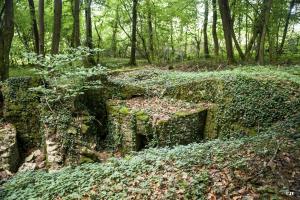 Ligne Maginot - MEISTERBUSCH 5 - (Cuve pour arme d'infanterie) - 