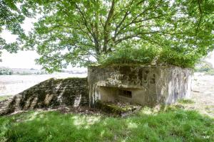 Ligne Maginot - STRICHMATT - (Blockhaus pour arme infanterie) - 
