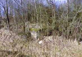 Ligne Maginot - COTE 252 2 (Blockhaus de type indéterminé) - 