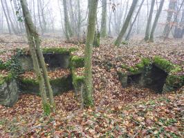 Ligne Maginot - GUNGLINGERBERG 1 - (Cuve pour arme d'infanterie) - La cuve d'infanterie.