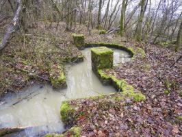 Ligne Maginot - GUNGLINGERBERG 2 - (Cuve pour arme d'infanterie) - La même en 2017 inondée.