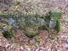 Ligne Maginot - GUNGLINGERWALD 1 - (Cuve pour arme d'infanterie) - La cuve pour arme d'infanterie.
