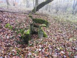 Ligne Maginot - GUNGLINGERWALD 2 - (Cuve pour arme d'infanterie) - La cuve pour arme d'infanterie.