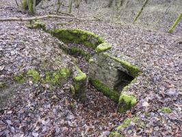 Ligne Maginot - GUNGLINGERWALD 2 - (Cuve pour arme d'infanterie) - La cuve pour arme d'infanterie.