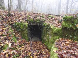 Ligne Maginot - GUNGLINGERWALD 3 - (Cuve pour arme d'infanterie) - La niche à munitions.