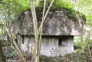 Ligne Maginot - HECKENWALD NORD - (Blockhaus pour arme infanterie) - 