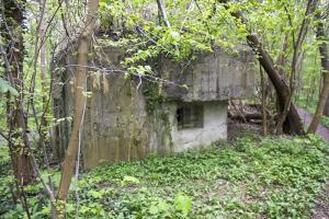 Ligne Maginot - HECKENWALD Nord (Blockhaus pour arme infanterie) - 