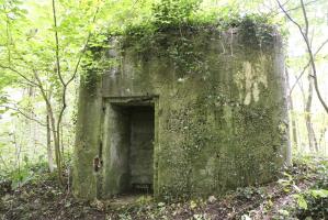 Ligne Maginot - HECKENWALD NORD - (Blockhaus pour arme infanterie) - 