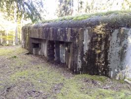 Ligne Maginot - BIESENBERG 1 - (Blockhaus pour arme infanterie) - Vue d'ensemble